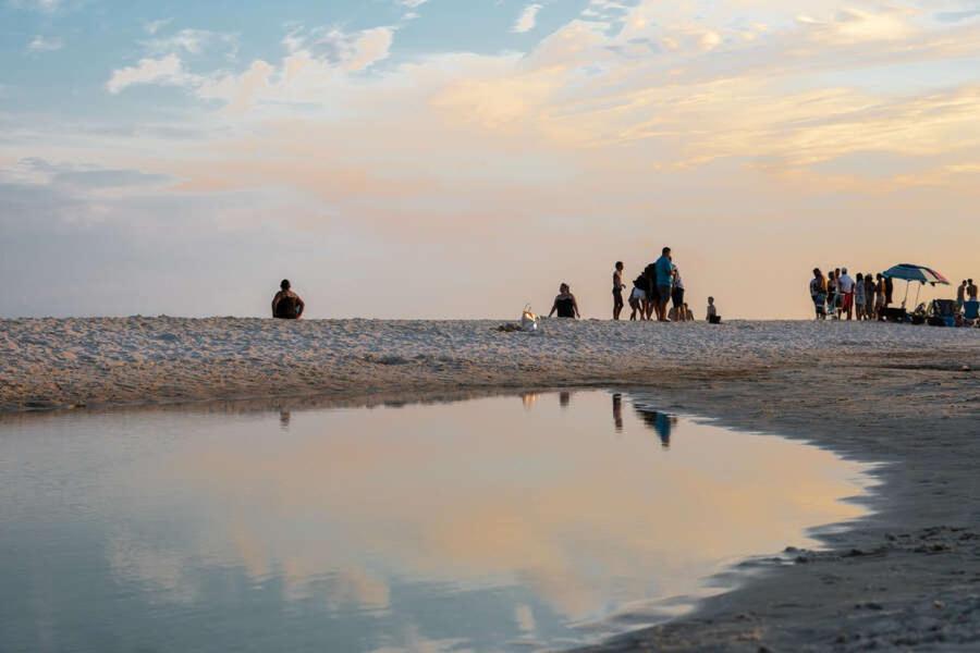 Budget Friendly Condo Within Walking Distance To The Beach! Gulf Shores Extérieur photo