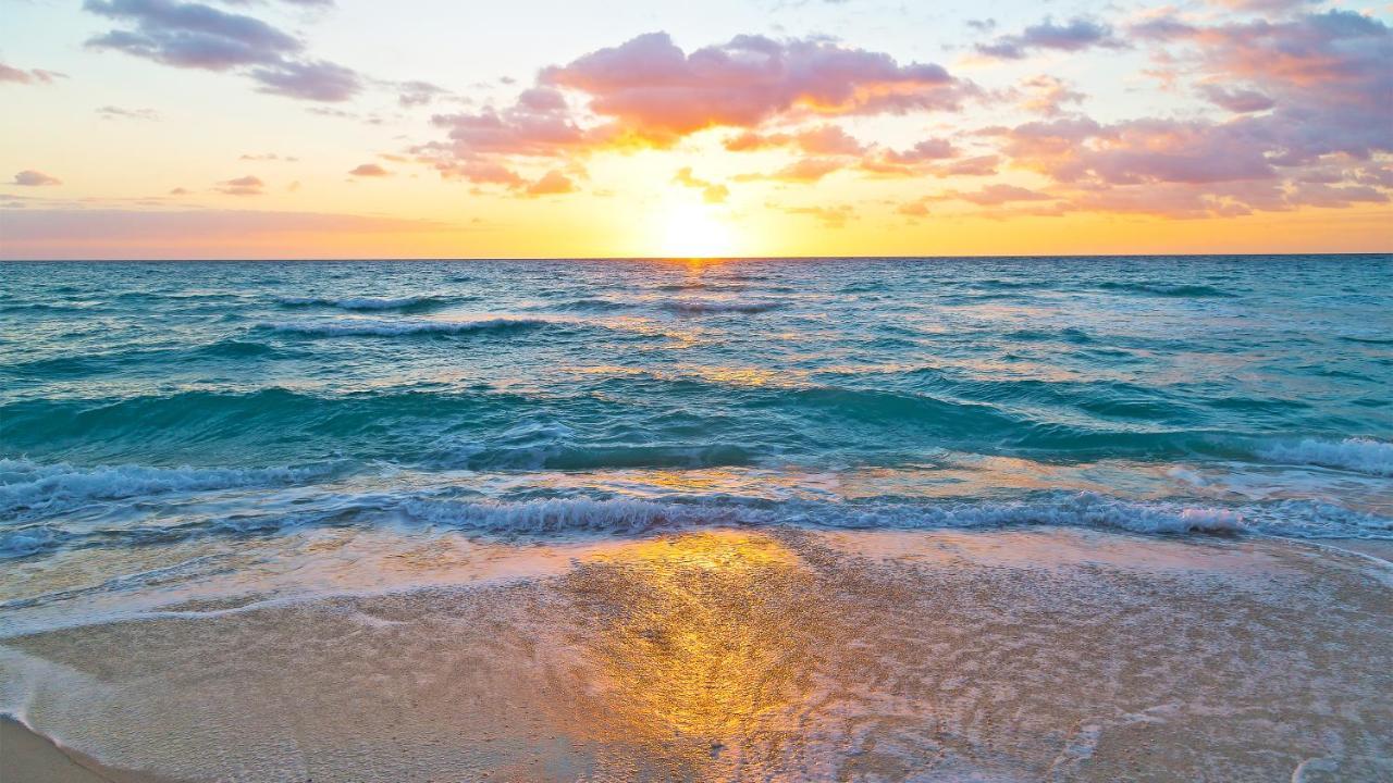 Budget Friendly Condo Within Walking Distance To The Beach! Gulf Shores Extérieur photo
